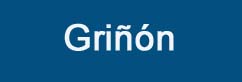 Asistencia técnica calderas Chaffoteaux Griñón